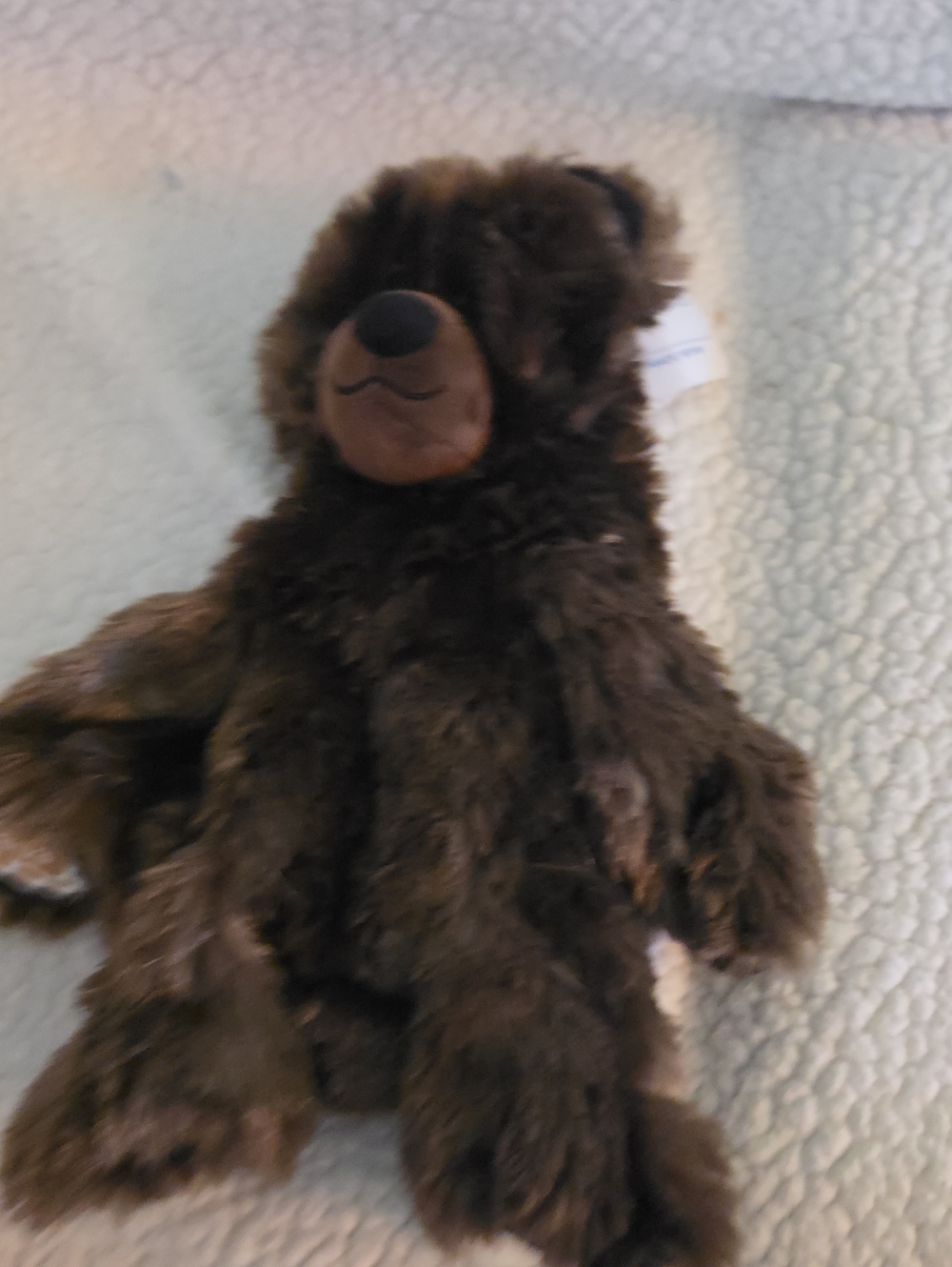 Build-A-Bear Dark Brown Plush Bear Unstuffed